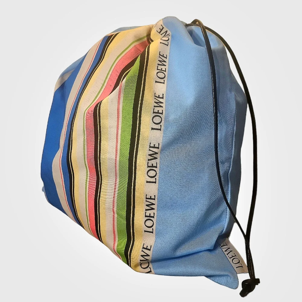 LOEWE CANVAS POUCH - Picture 1 of 12